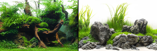 Poster fond aquarium - fond,