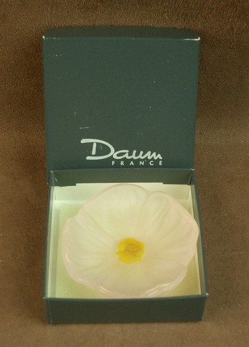 Belle fleur cactus pâte - de,