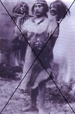  curiosité , oddities : photo