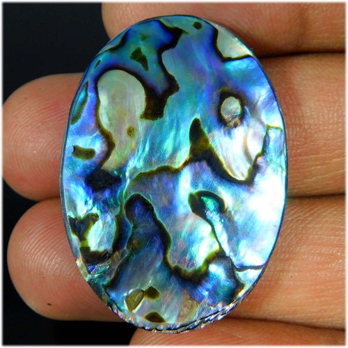 Cabochon ovale coquille - en,
