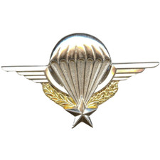 VERITABLE INSIGNE BREVET