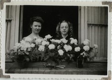 PHOTO ANCIENNE - VINTAGE SNAPSHOT - CADRAGE FLEURS PORTRAIT DRÔLE - FLOWERS 2
