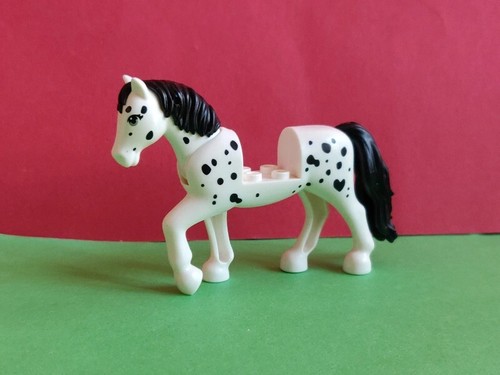 Cheval tacheté blanc - et, noir