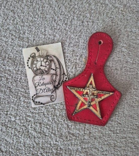 Insigne régiment de - insigne, 1