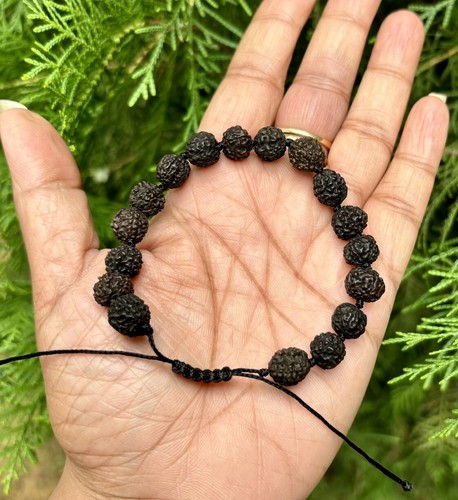 Bracelet rudraksh naturel lab - rudraksh,