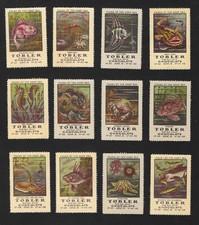 Poster stamps fauna - deep, sea