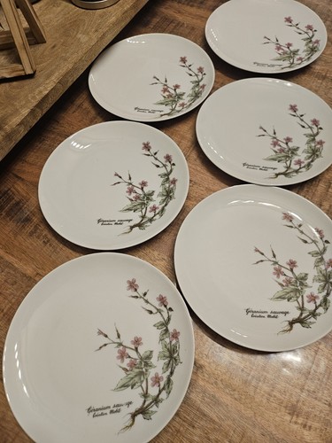 Lot assiettes fromages - lot,
