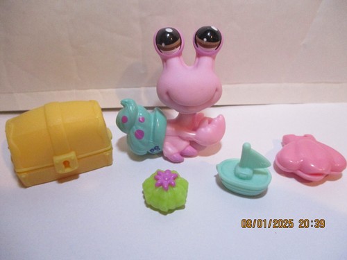 Petshop bernard hermite - l'hermite, "