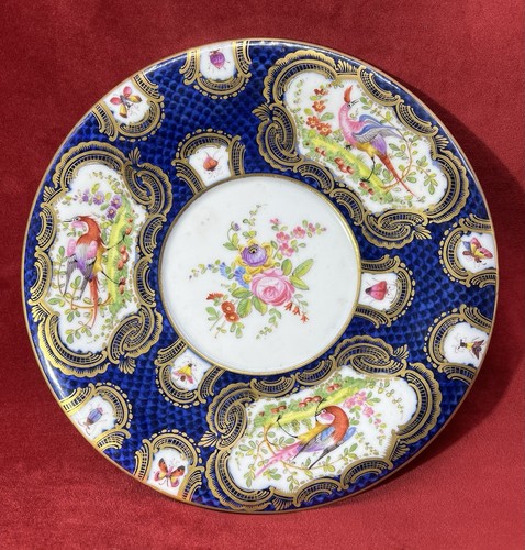 Chelsea plate exotic bird - plate,