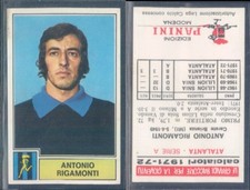 Figurine Footballeurs Panini