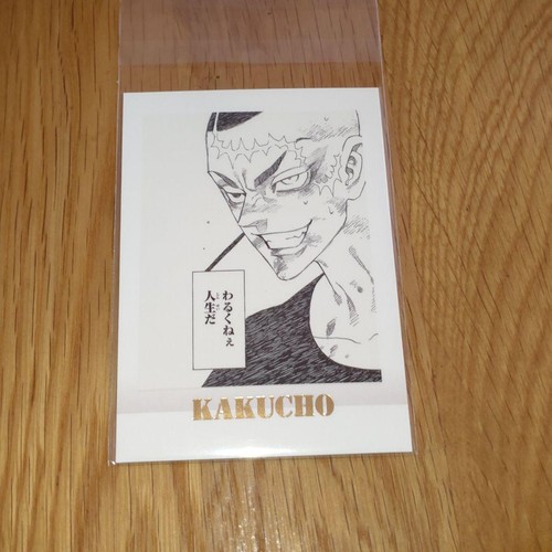 Tokyo revengers pashacolle - tokyo,