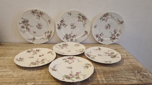 Lot assiettes haviland - lot,