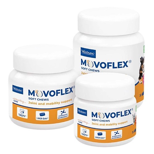 Movoflex chien protection - chien,