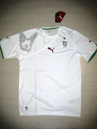 0299 puma taille xxl algérie - taille,