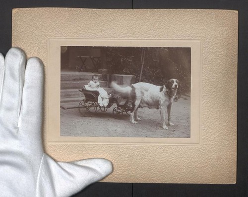 Photographie krause es fia - a.,