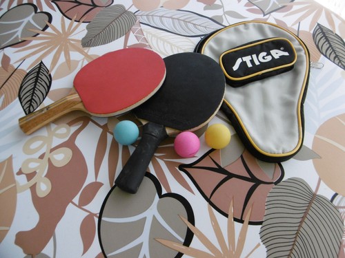 Lot raquettes de ping - raquettes,