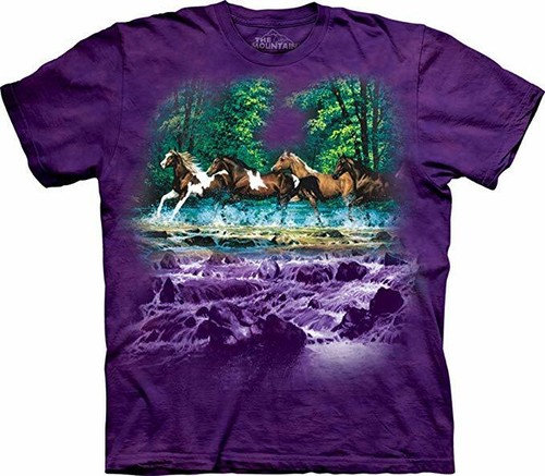 The mountain horse purple - mountain,