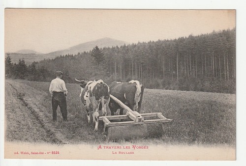 Les vosges cpa - vosges,