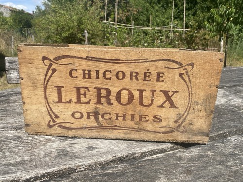 Chicorée leroux orchies - chicorée,