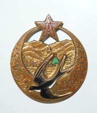 Insigne regiment de - insigne, 1°