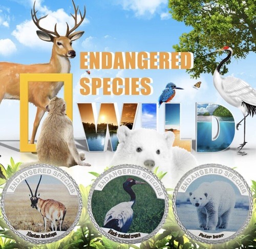 Endangered species pièces - pièces,