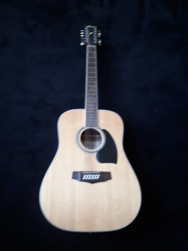 Guitare folk ibanez - folk,