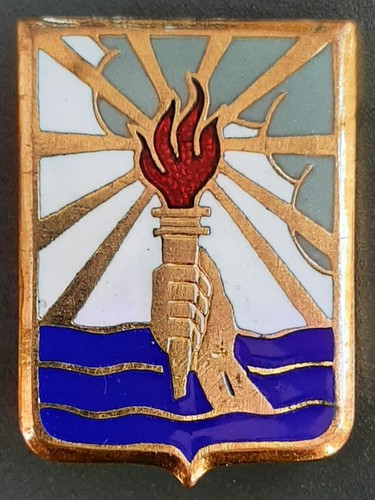 Insigne badge marine cfm pont - insigne,