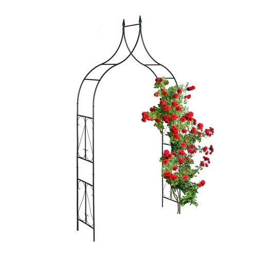 Arche rosier tonnelle - rosier,