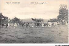 CAR-ABEP1-0056-12 - L'AVEYRON PITTORESQUE - Vaches au paturage
