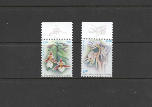 T2441 estonie 2005 - estonie, flore
