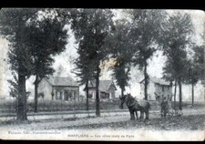 MAFFLIERS (95) ATTELAGE
