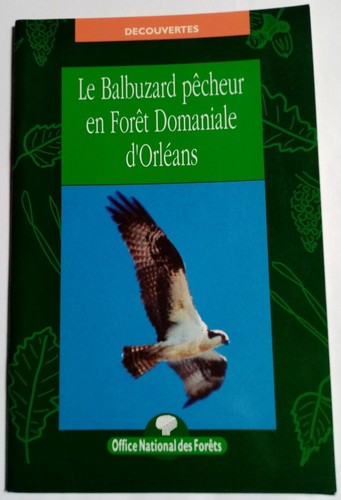 Balbuzard pêcheur en - le,
