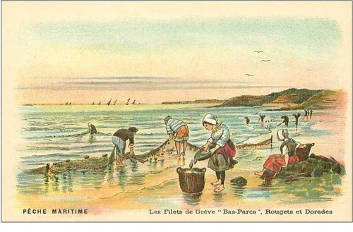 Peche maritime - peche.peche, aux