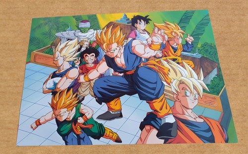 Dragon ball affiche b2 - dragon,