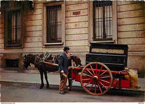 Carte postale animaux - carte,