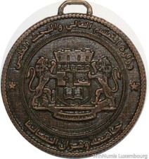 V2289 Rare Médaille Algérie