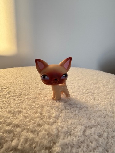 Littlest pet shop chihuahua - littlest,
