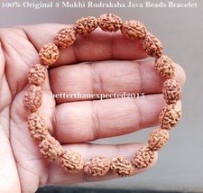3 Mukhi Rudraksha Bracelet /