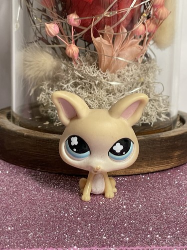 Petshop chien chihuahua - 🌸petshop,