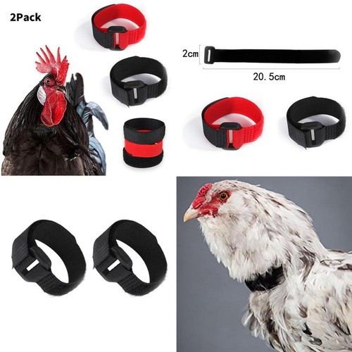 Pièces pas collier - pas,
