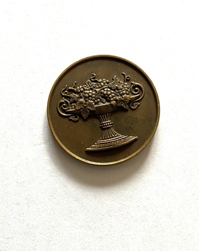 Médaille bronze arthus - médaille,
