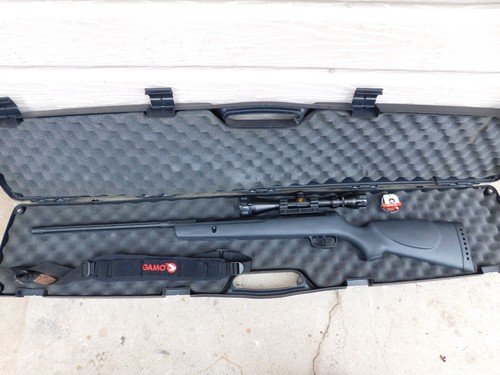 Gamo big cat air - big, rifle