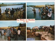 La Pêche en Dombes