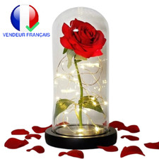 Rose Éternelle LED Durable Résistant sous Dôme Cadeau Saint Valentin Noël Mères