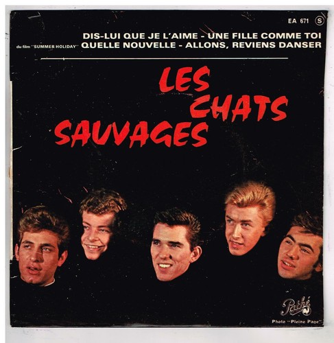 Les chats sauvages dis - , dis-lui