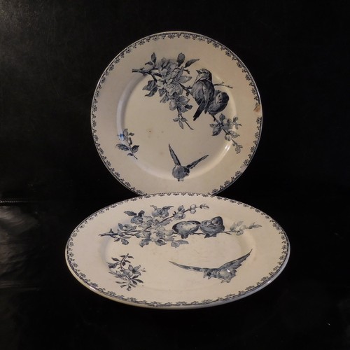 Plates earthenware favorite - 2,