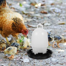 Abrevoir Poules Abreuvoir