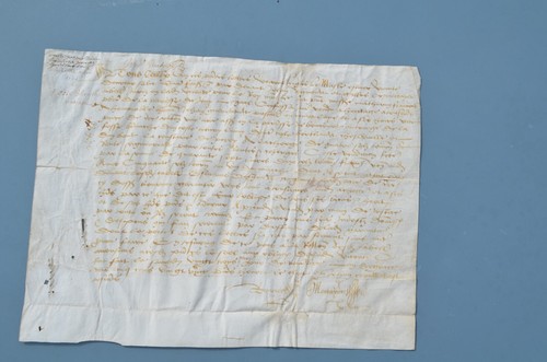 Parchemin notarial 1521 - parchemin,