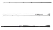 Daiwa 24 Prorex AGS Canne À