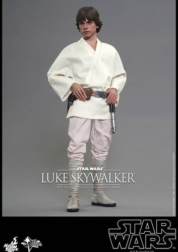 Hottoys movie masterpiece - hottoys, star